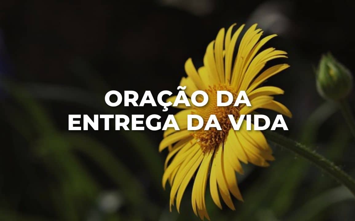 ORAÇÃO DA ENTREGA DA VIDA