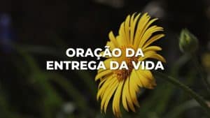 ORAÇÃO DA ENTREGA DA VIDA