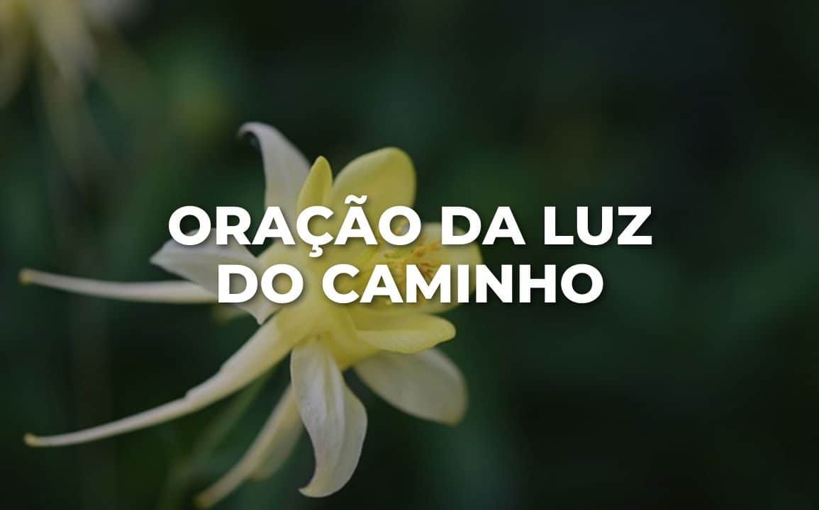 ORAÇÃO DA LUZ DO CAMINHO