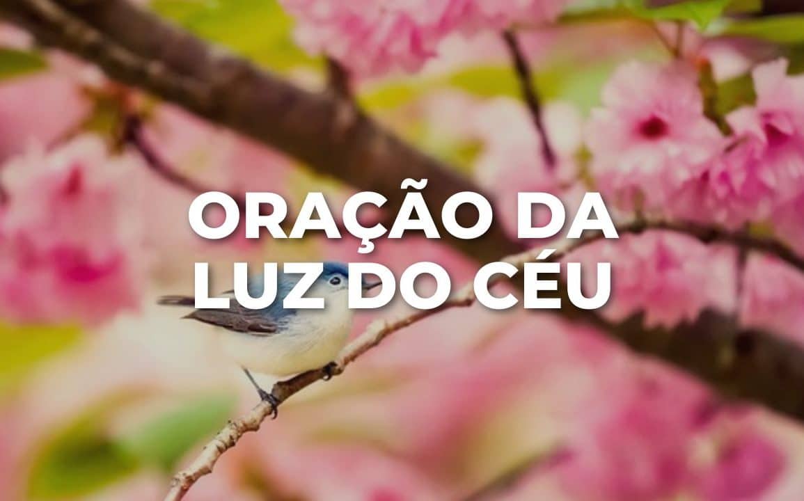 ORAÇÃO DA LUZ DO CÉU