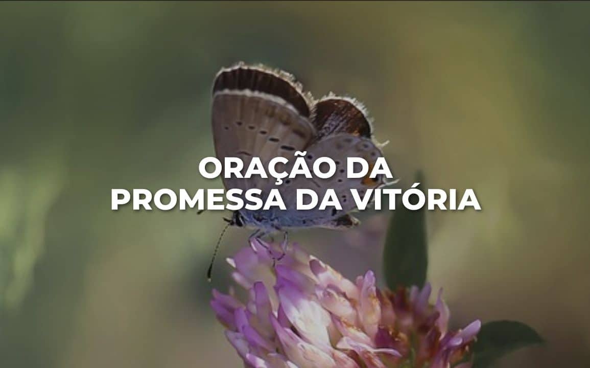 ORAÇÃO DA PROMESSA DA VITÓRIA
