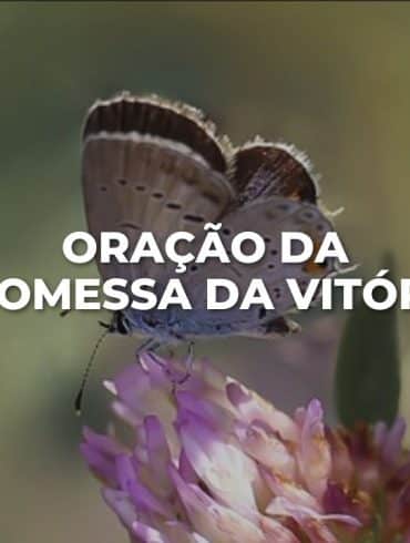 ORAÇÃO DA PROMESSA DA VITÓRIA