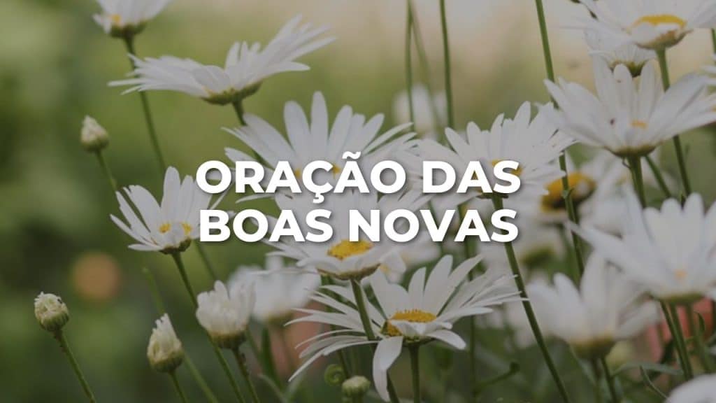 Oração das boas novas - Benção Diária