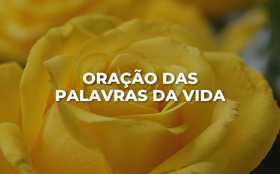 ORAÇÃO DAS PALAVRAS DA VIDA