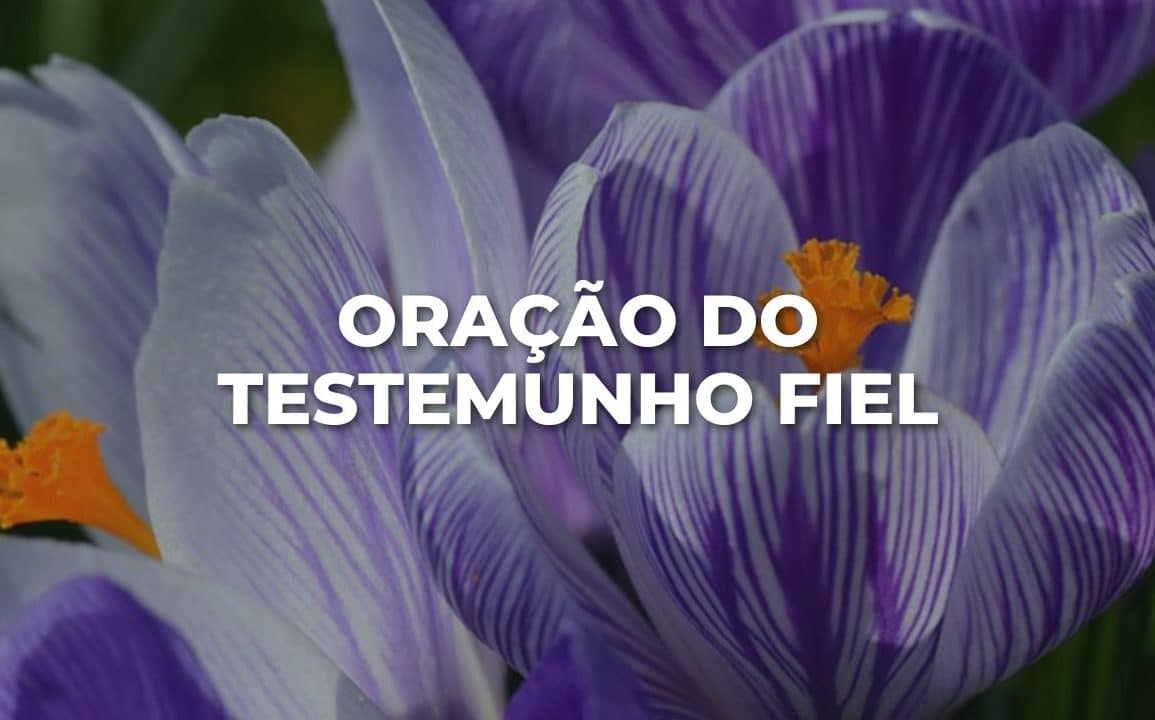 ORAÇÃO DO TESTEMUNHO FIEL