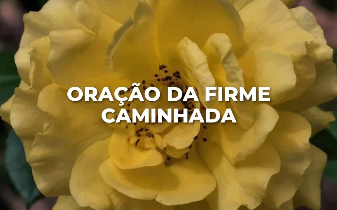 ORAÇÃO DA FIRME CAMINHADA