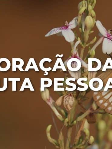 ORAÇÃO DA LUTA PESSOAL