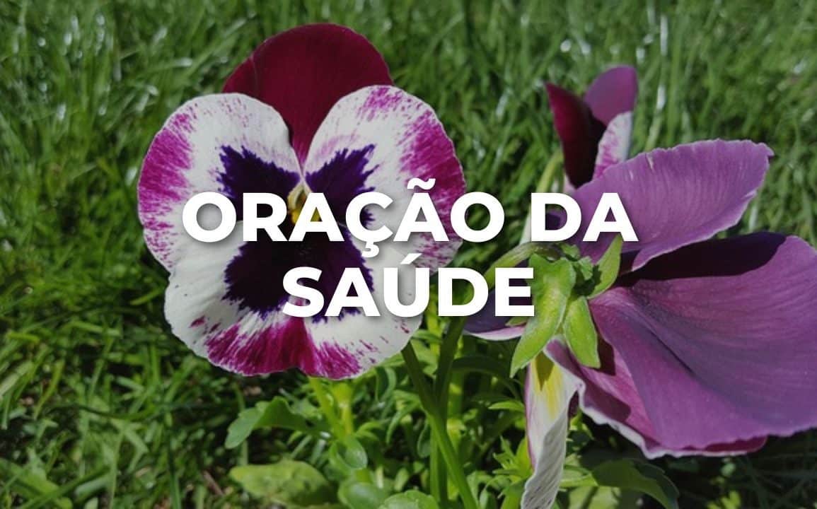 ORAÇÃO DA SAÚDE