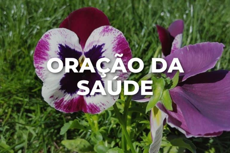 ORAÇÃO DA SAÚDE