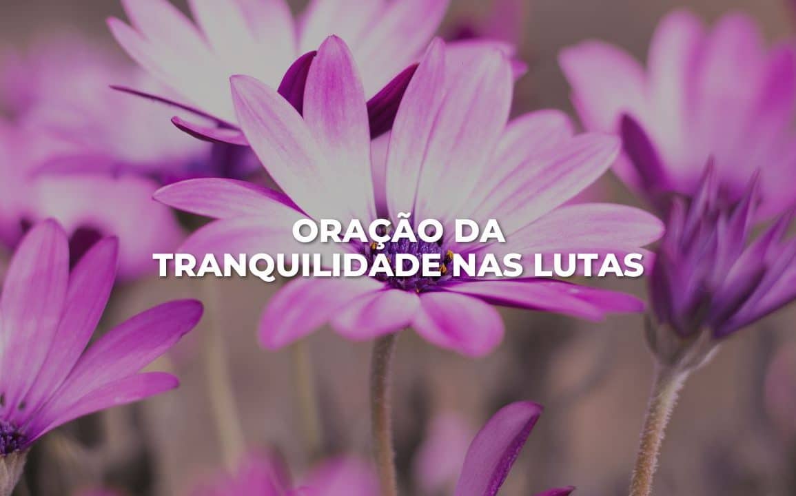 ORAÇÃO DA TRANQUILIDADE NAS LUTAS