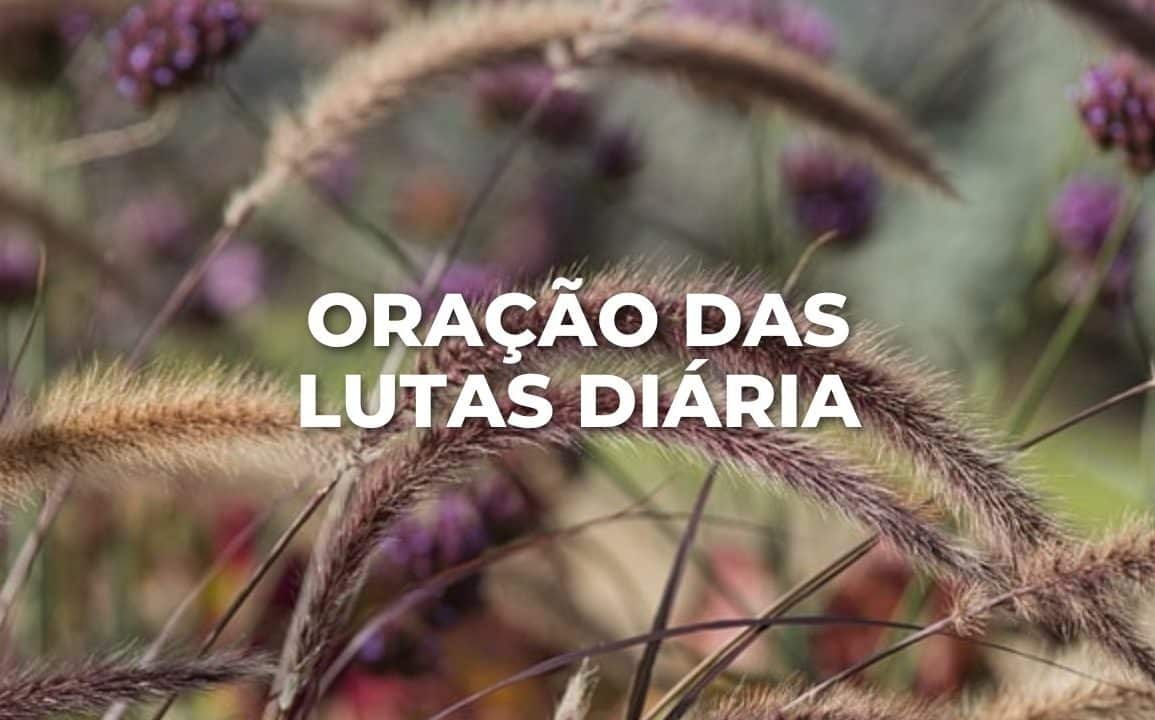 ORAÇÃO DAS LUTAS DIÁRIA