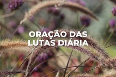 ORAÇÃO DAS LUTAS DIÁRIA