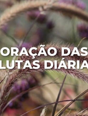 ORAÇÃO DAS LUTAS DIÁRIA