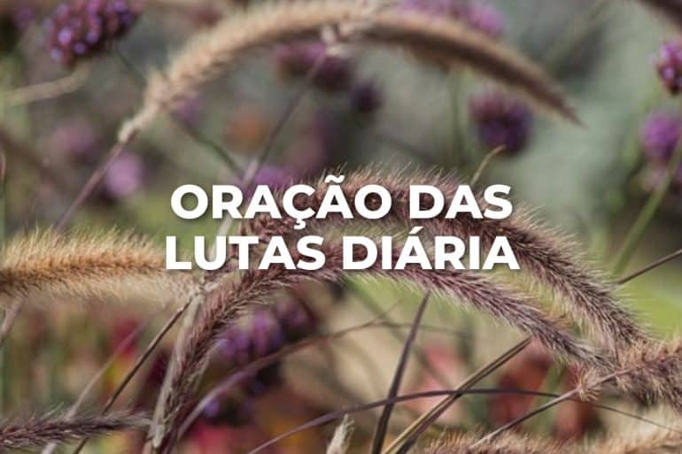 ORAÇÃO DAS LUTAS DIÁRIA