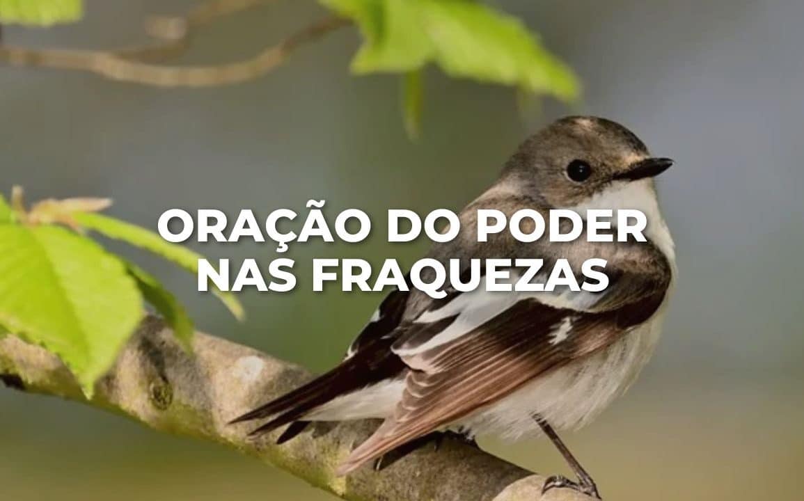 ORAÇÃO DO PODER NAS FRAQUEZAS