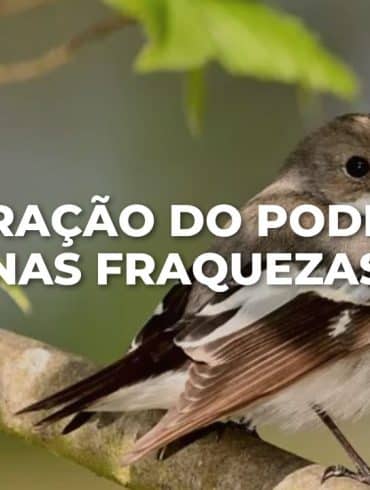 ORAÇÃO DO PODER NAS FRAQUEZAS