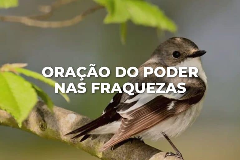 ORAÇÃO DO PODER NAS FRAQUEZAS