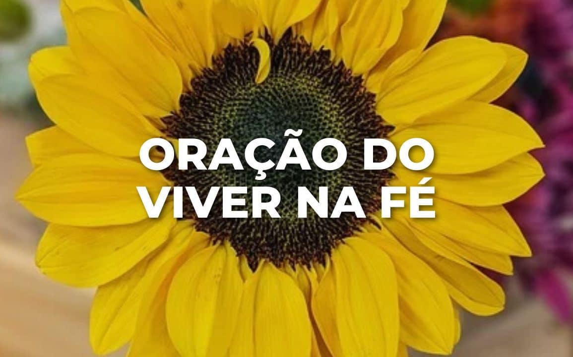 ORAÇÃO DO VIVER NA FÉ