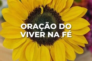 ORAÇÃO DO VIVER NA FÉ