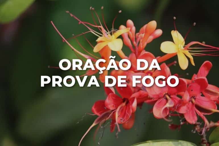 ORAÇÃO DA PROVA DE FOGO