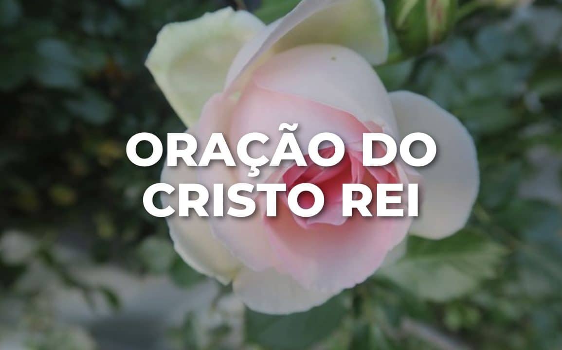 ORAÇÃO DO CRISTO REI