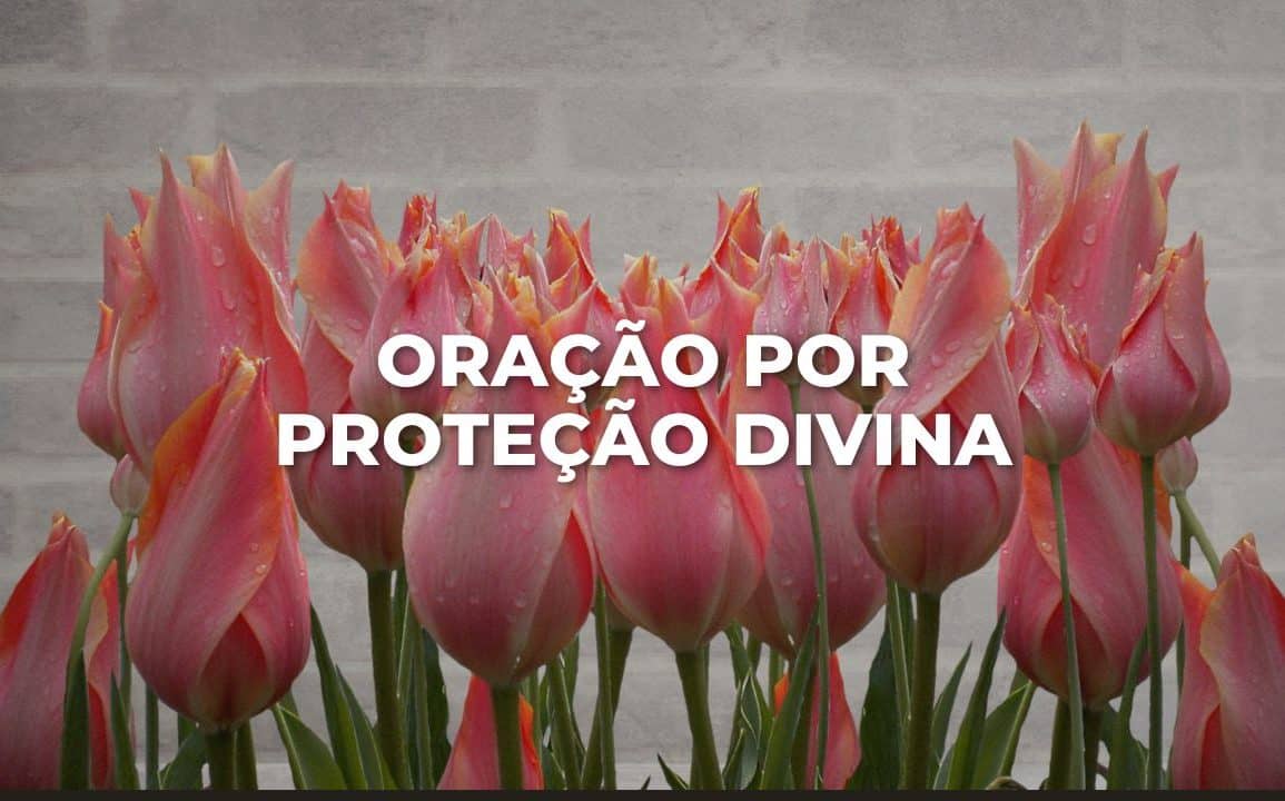 ORAÇÃO POR PROTEÇÃO DIVINA
