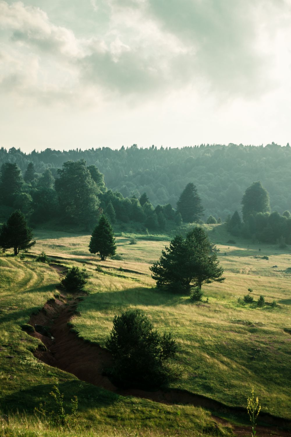 A peaceful natural scene featuring lush green fields and scattered trees under a cloudy sky.