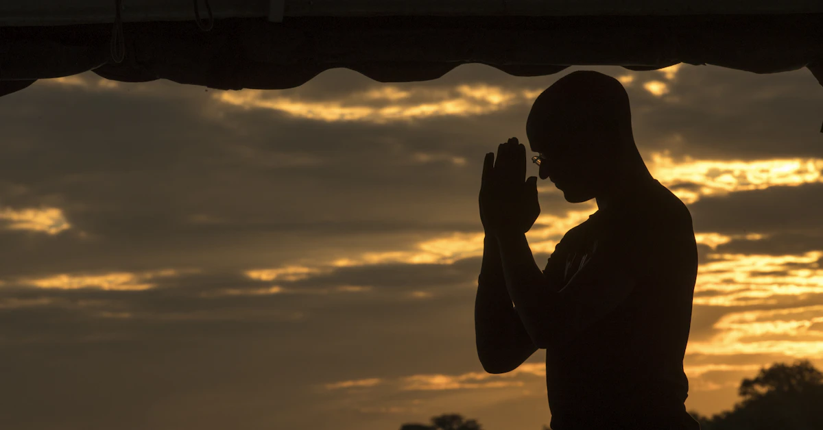 a silhouette of a person
