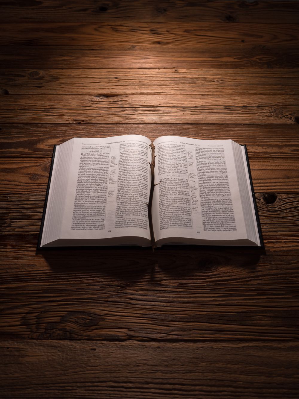 A Bible is opened on a rustic wooden table, highlighted by dramatic lighting for a contemplative atmosphere.